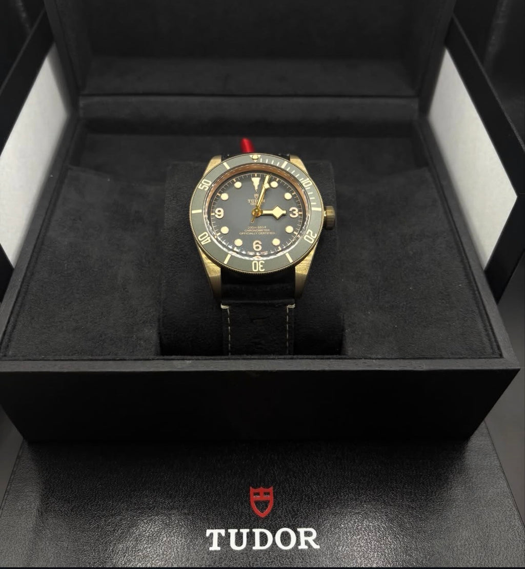 Tudor black bay Bronze