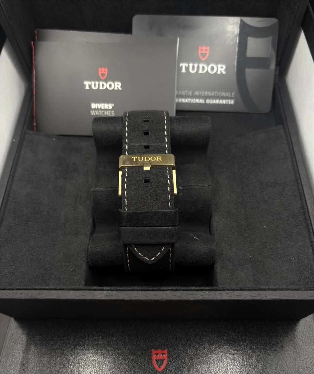Tudor black bay Bronze