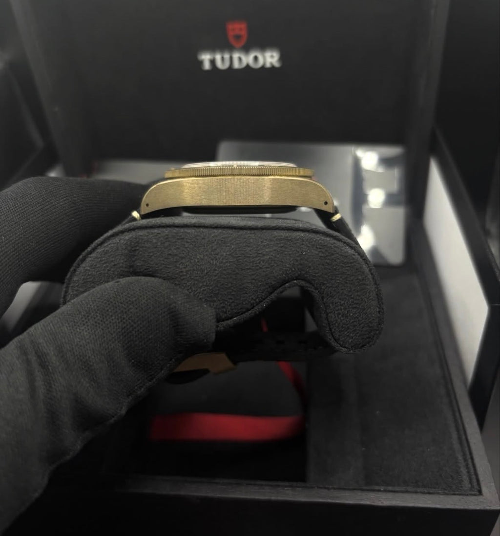 Tudor black bay Bronze